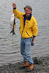 Herb with salmon dinner Herb with salmon dinner