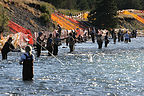 Combat fishing at the Confluence Combat fishing at the Confluence