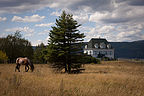 Bike Ride Landscape - AJG Bike Ride Landscape - AJG