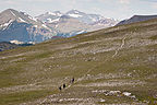 Trail hiking back from Mt. Ida Trail hiking back from Mt. Ida