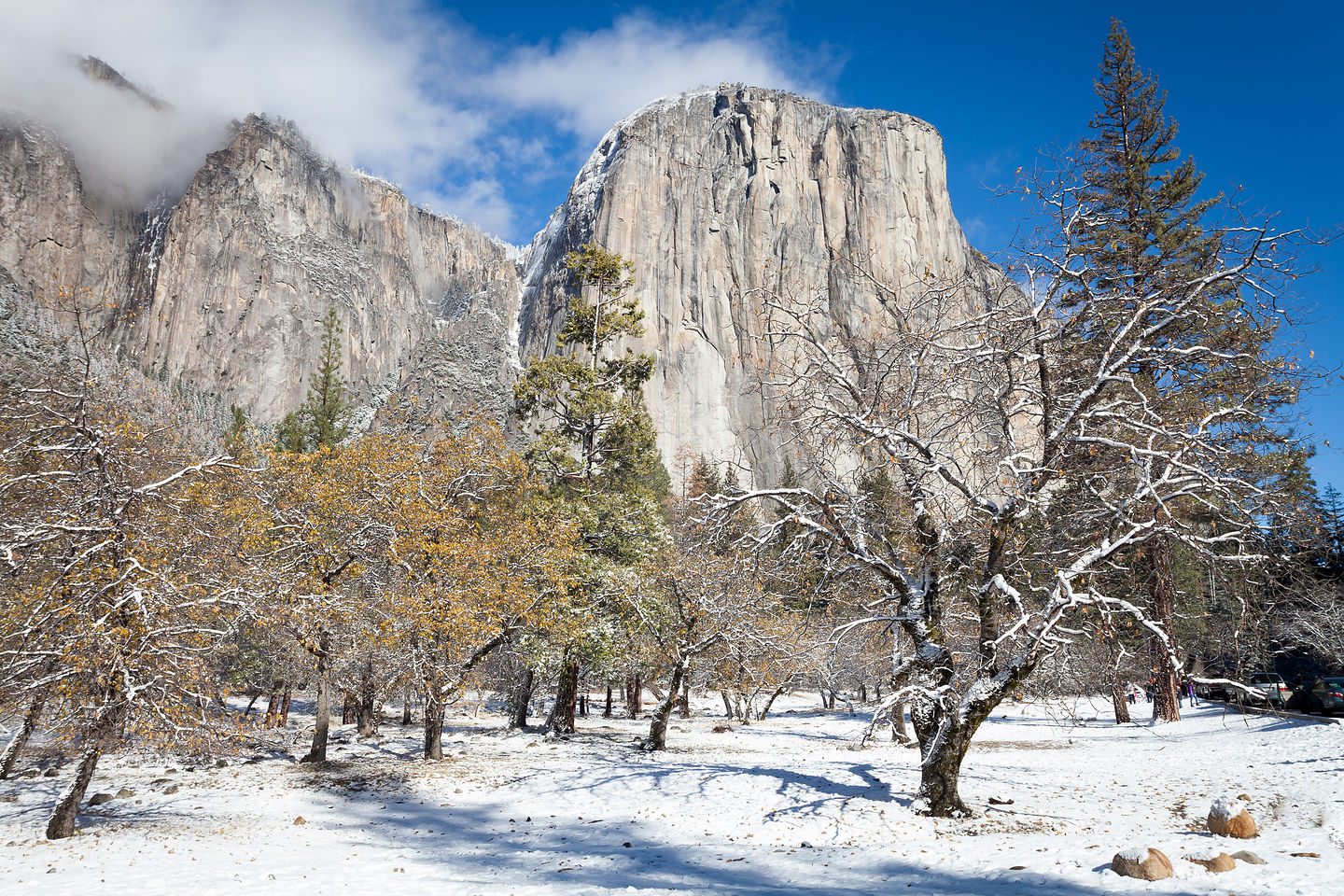 More El Cap More El Cap