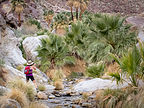 Sneaking up on Borrego Palms Sneaking up on Borrego Palms