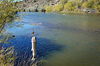 East Walker River East Walker River