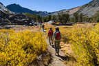Virginia Lakes Trail Virginia Lakes Trail