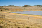 Lolo strolling along Petroglyph Lake Lolo strolling along Petroglyph Lake