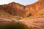 Our campsite in Chuckwalla Springs Cove Our campsite in Chuckwalla Springs Cove