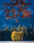 Ahwahnee Meadow Ahwahnee Meadow
