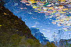 Reflections of Half Dome Reflections of Half Dome