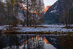 Herb capturing alpenglow reflections Herb capturing alpenglow reflections