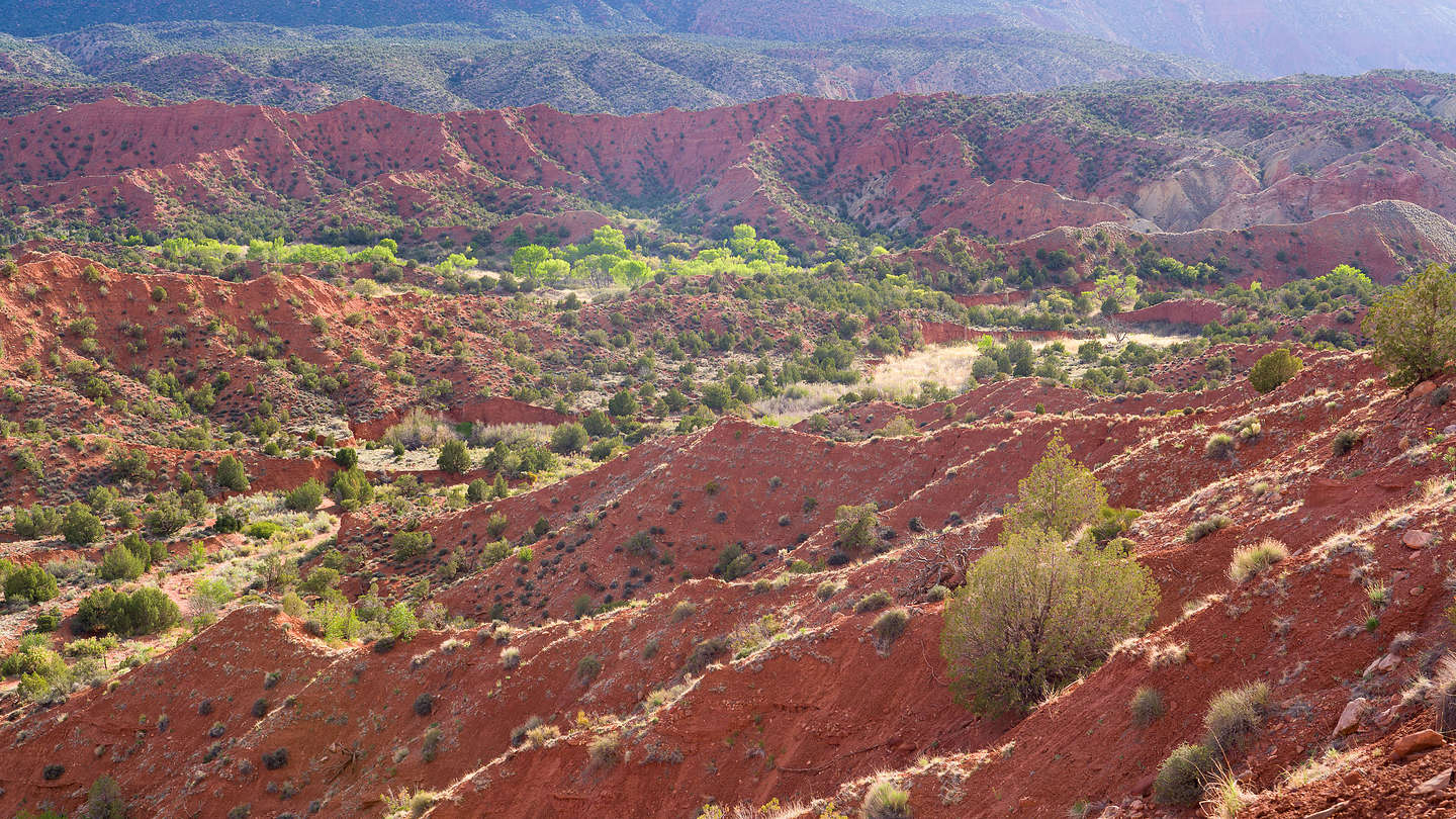 Along the Onion Creek Road