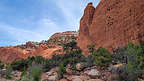 Start of the Upper Muley Twist hike Start of the Upper Muley Twist hike