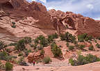 Back down in the Canyon along the Upper Muley Twist hike Back down in the Canyon along the Upper Muley Twist hike
