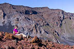 Lolo of Haleakala Lolo of Haleakala