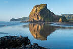 Lion Rock Lion Rock