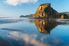 Lion Rock Lion Rock
