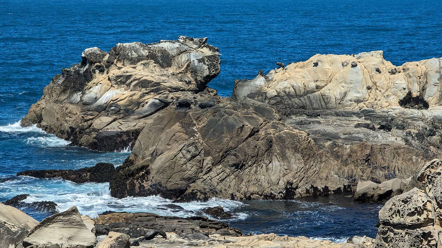 Salt Point State Park