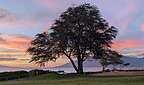 Another Hale Kamaole sunset Another Hale Kamaole sunset