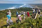 Tour bus joins us at Muriwai Beach Lookout Tour bus joins us at Muriwai Beach Lookout