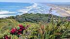 Muriwai Beach Lookout Muriwai Beach Lookout